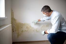 Mold Remediation for Rental Properties in Soldotna, AK